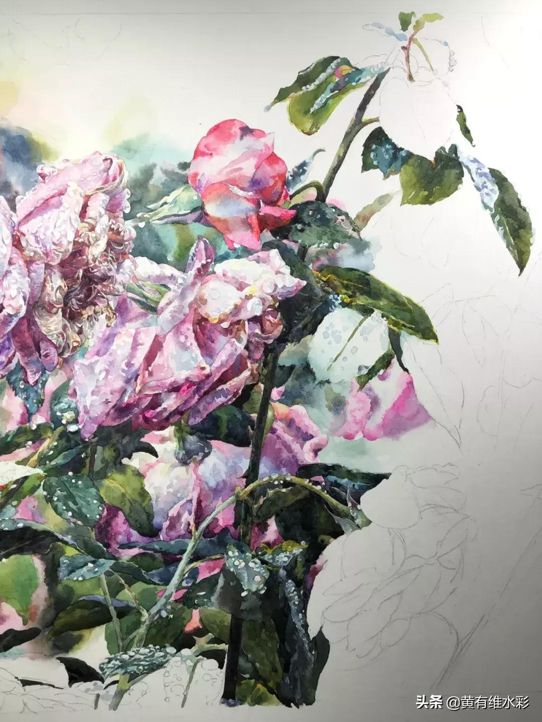 小清新水彩画玫瑰花,水彩画雨中玫瑰