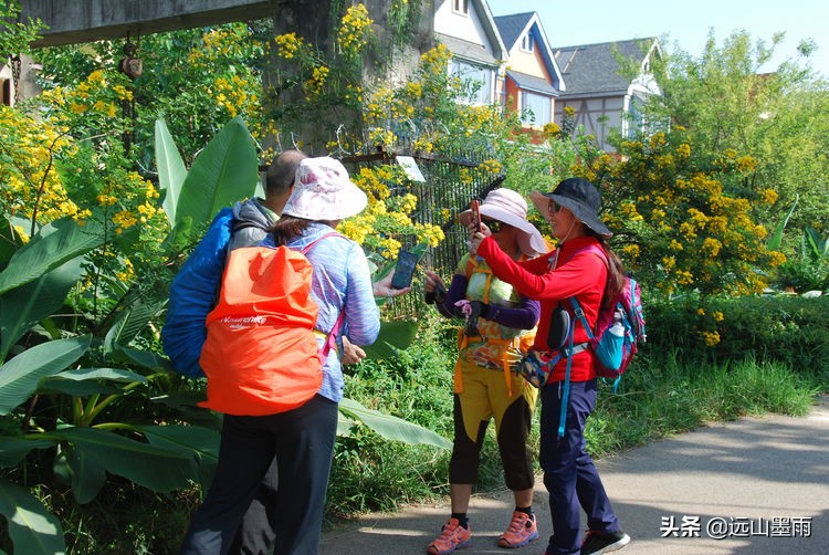 昆明嘉丽泽小镇旅游,昆明嘉丽泽水乡