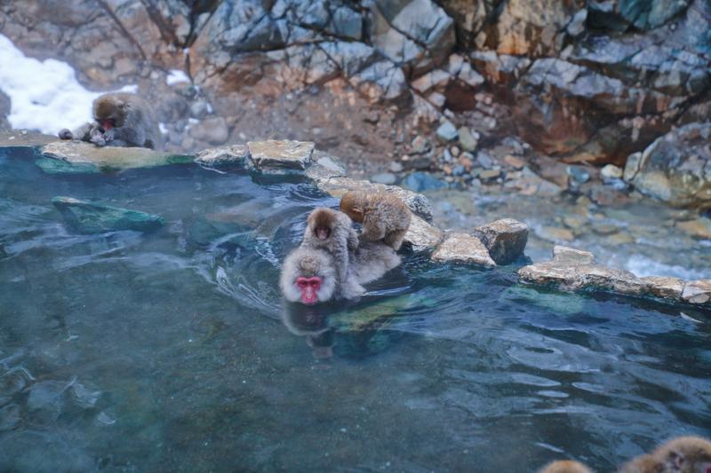 日本小众路线冬,日本冬天观光公路