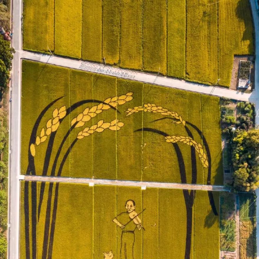 356315个赞！“最江南·杭州味”杭州文旅“新十大”名单正式公布