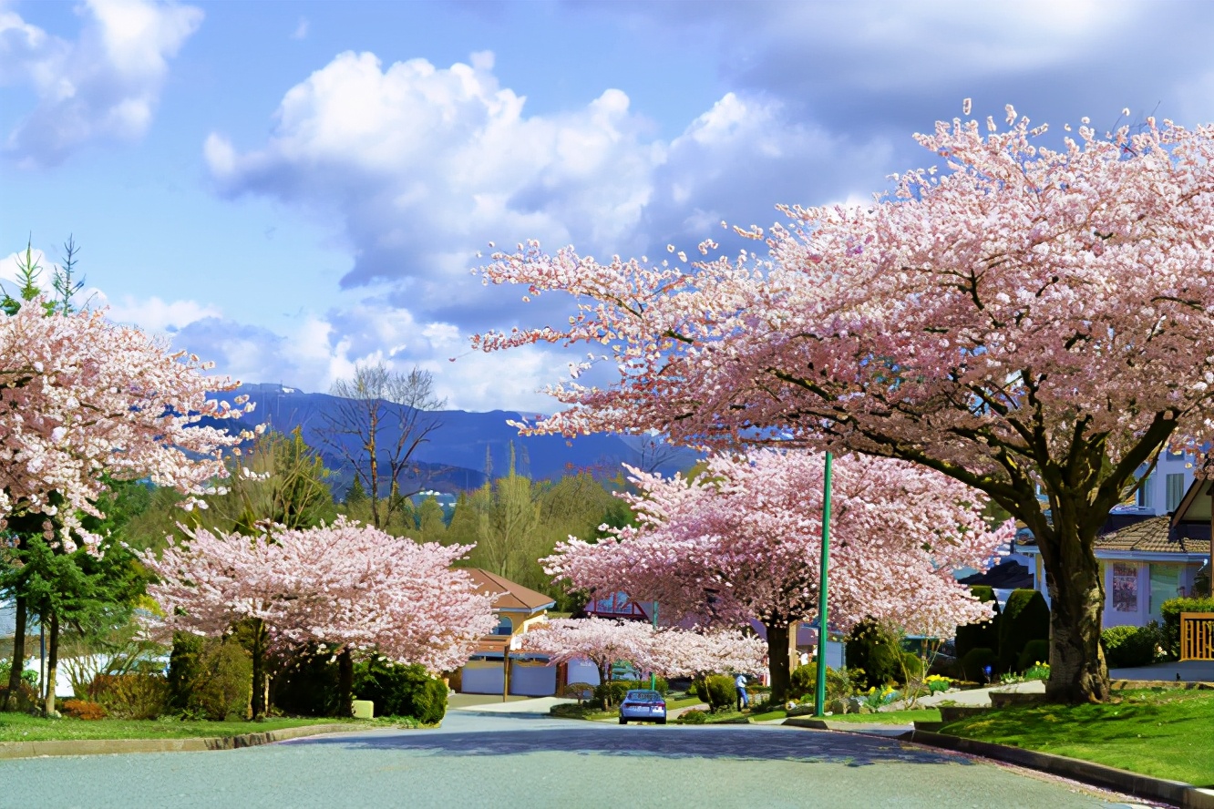 加拿大超级签证医疗保险,加拿大疫苗政策入境要求