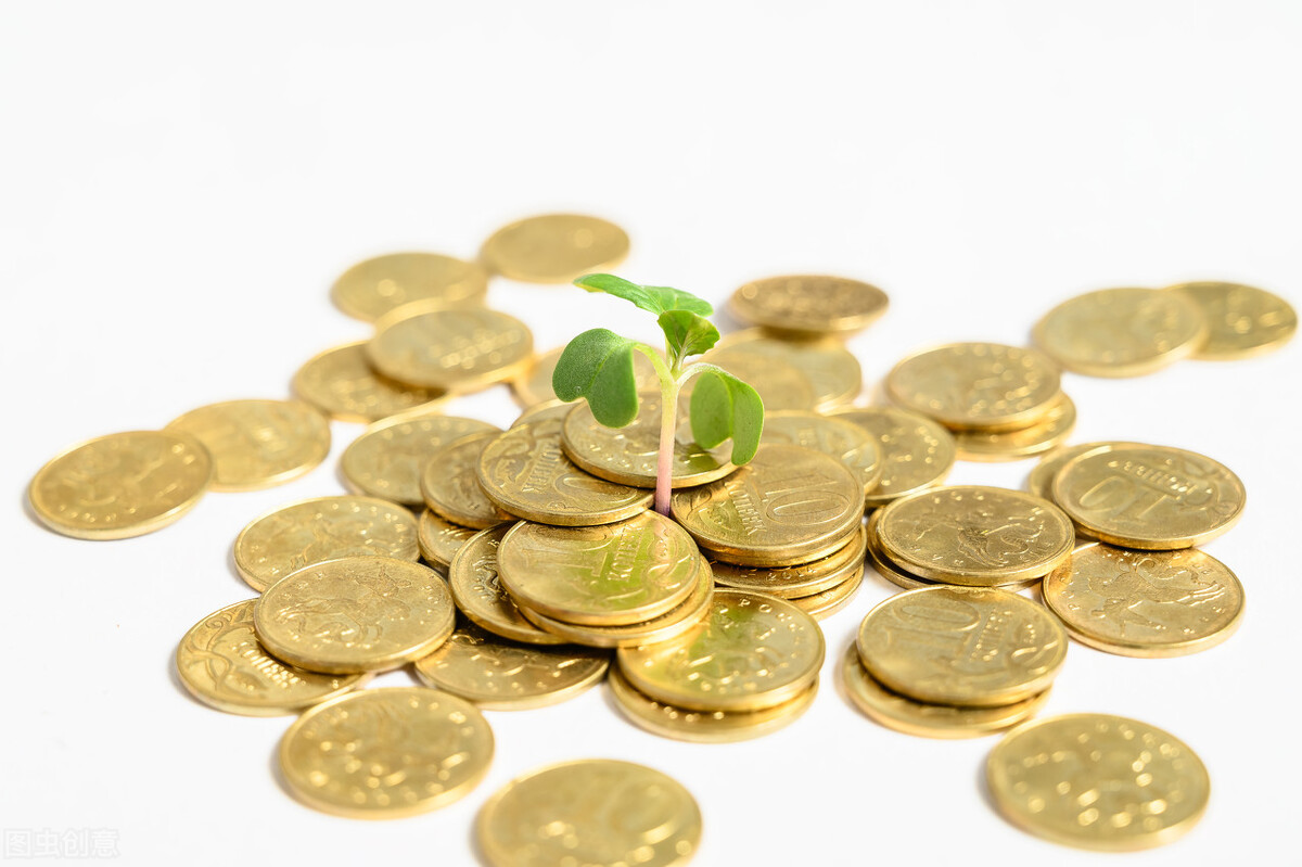 趋势的力量深度解析,顺势而为选择价值分析