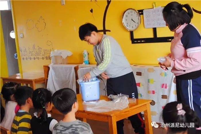 生命教育孵蛋,生命教育课程孵小鸡