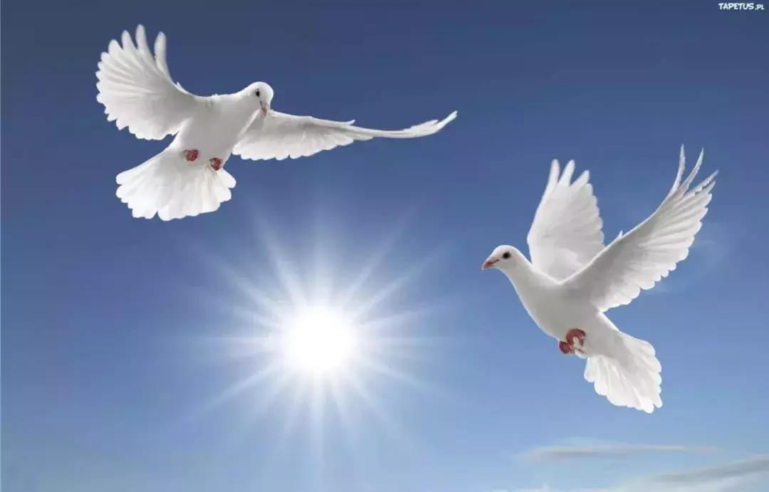 璺附鏁板瓧鐗╂祦,璺附缃戠粶璐ц繍