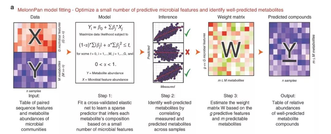 NC|预测代谢组新工具MelonnPan