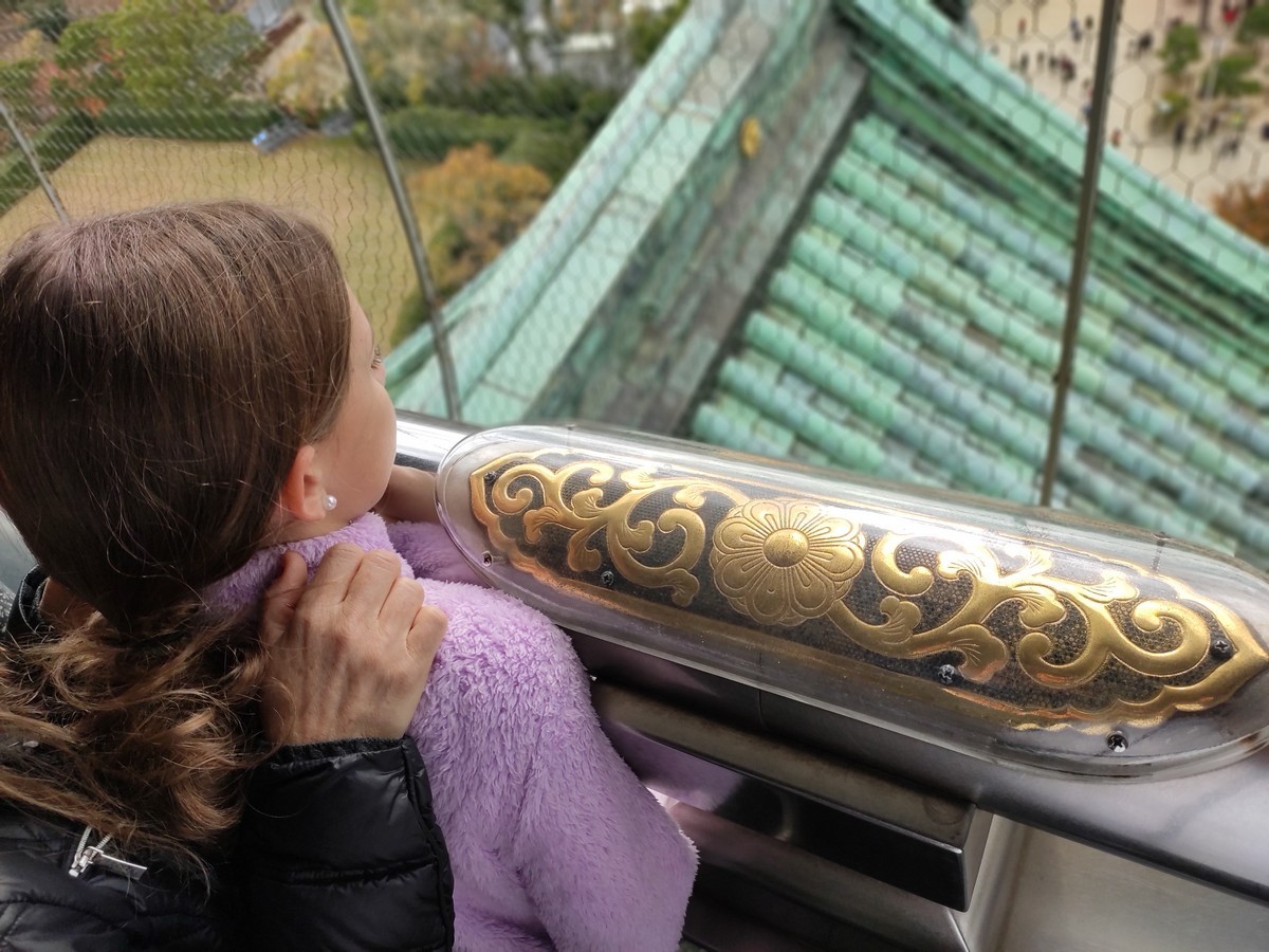 大阪马拉松跑道多少公里,日本大阪马拉松赛道怎么样