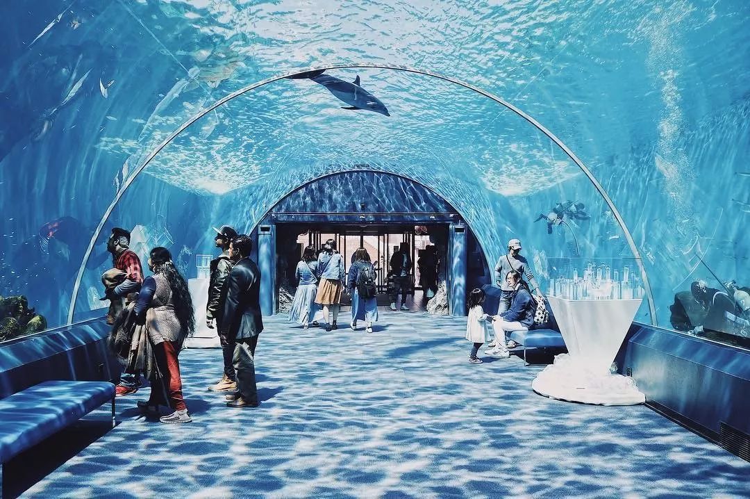 买彩票乐趣,买福利彩票乐趣