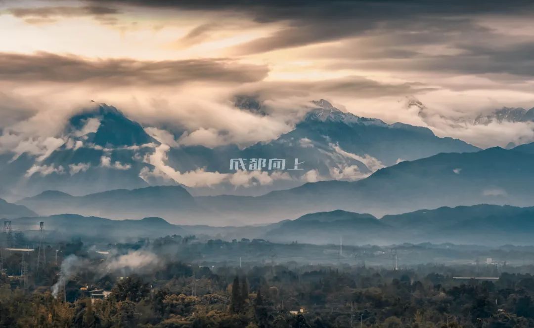 城西公园特点,城西公园有哪些