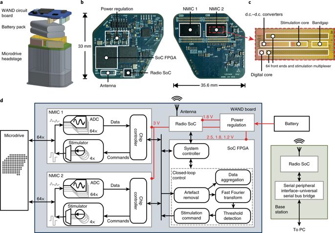 神经疾病患者的福音：加州大学伯克利分校开发出新型神经刺激器！