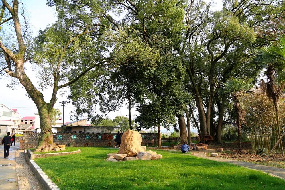 【谁不说咱家乡美】美丽中国，“乡”约万安（河西片）