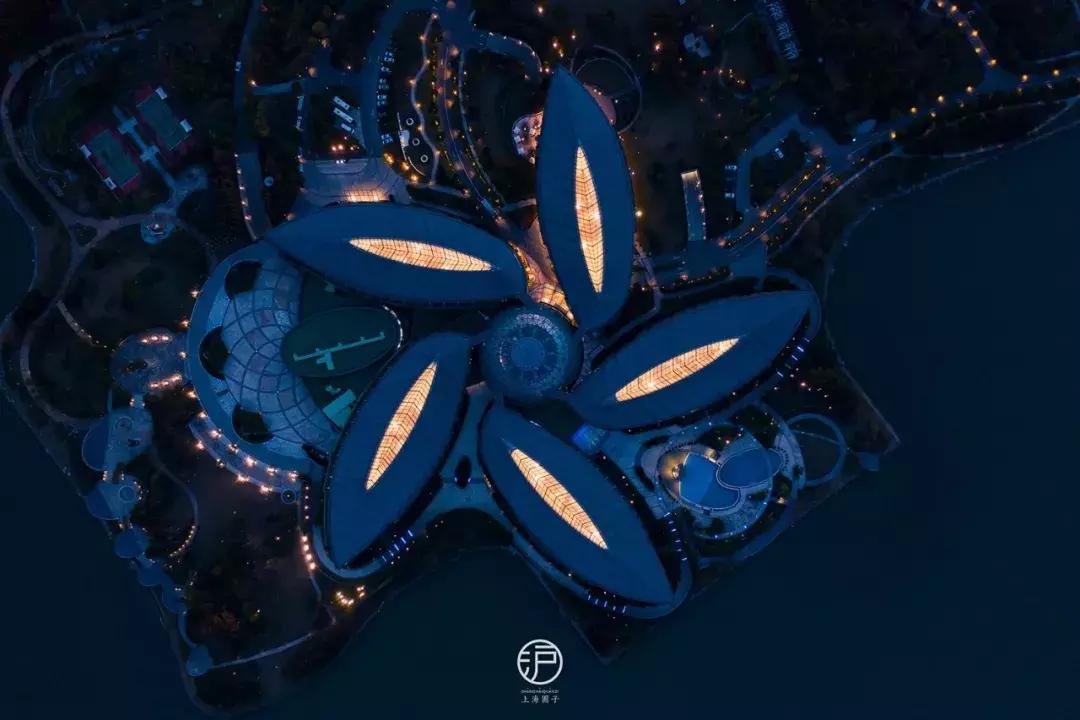 美到犯规的地方,魔都滴水湖酒店