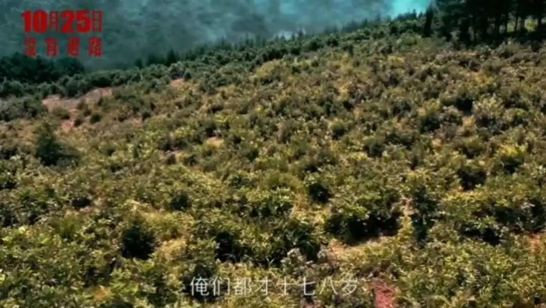 《金刚川》:他们不怕死,怕的是战友死了,自己倒下了