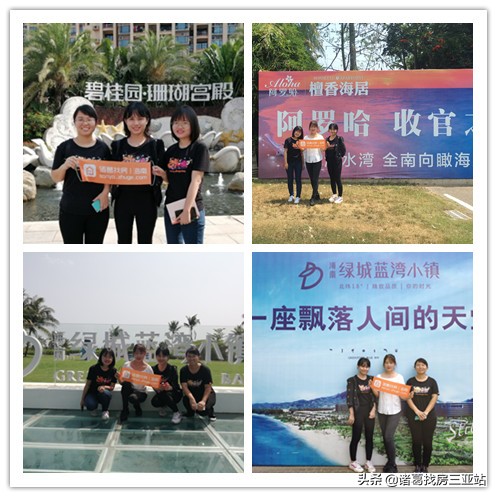 清水湾房地产优势,清水湾从哪里开始止于哪里