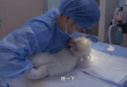 十大不建议去的宠物医院,目前国内的宠物医院有哪些