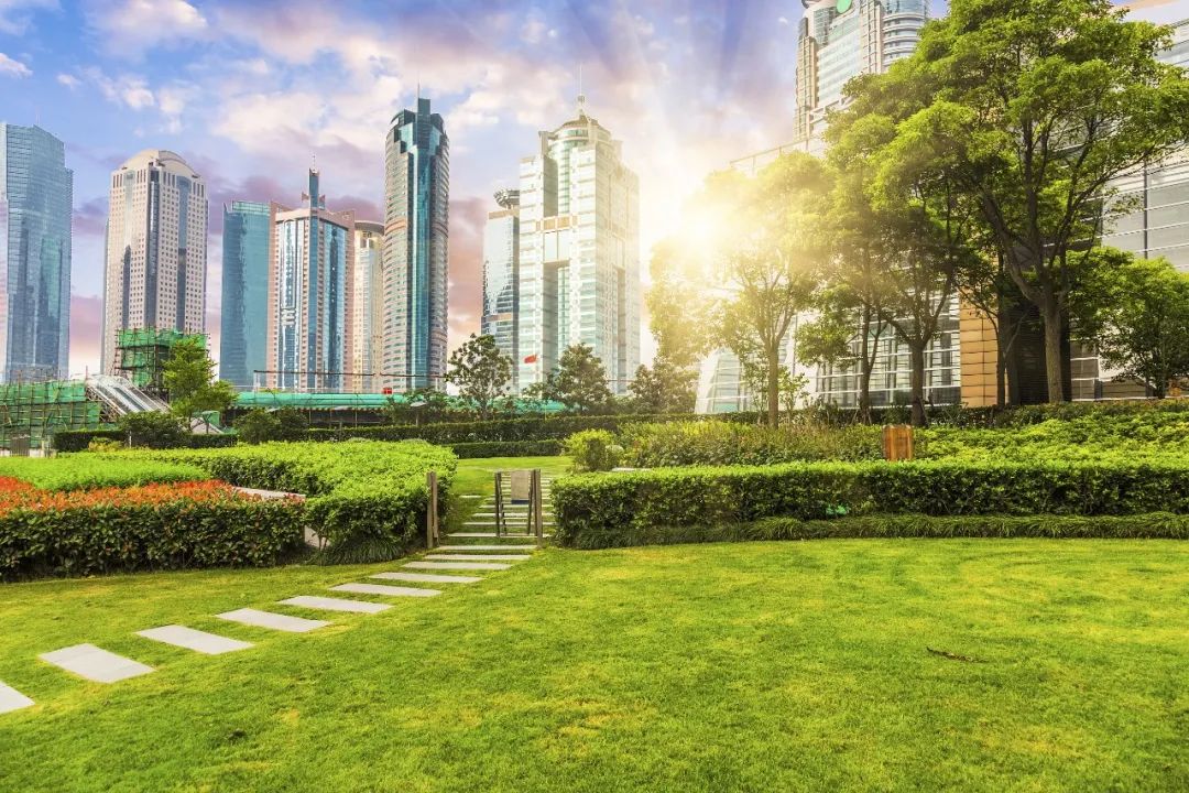 东莞周屋稻田网红打卡地,东莞室内网红打卡地儿童