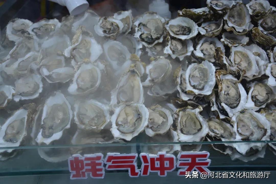 逛逛逛四大夜街点亮秦皇岛夜生活,秦皇岛开放的夜市