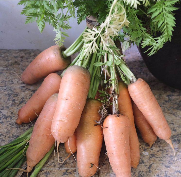 不变的是味道改变的是距离,不变的是茶颜悦色的味道