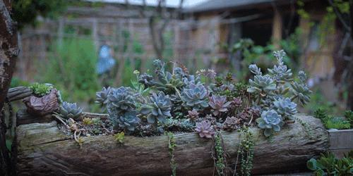 用废弃木床做书架,多功能流觞曲水桌