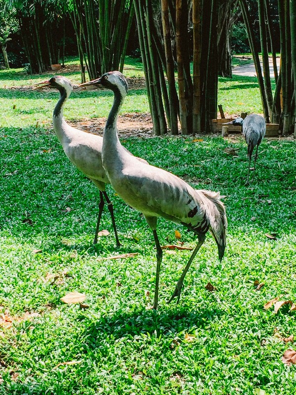 广州长隆旅游攻略自由行详细,广州长隆五一节3天2夜亲子游攻略