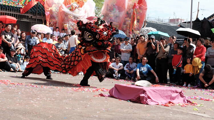 百年树屋，天空之镜，红砖市集，跳蚤市场…尽在锦田