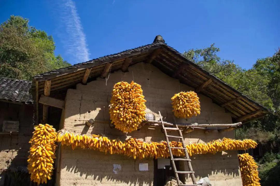 原创散文：“脑壳”大叔有个突出的特点，就是“爱胜”