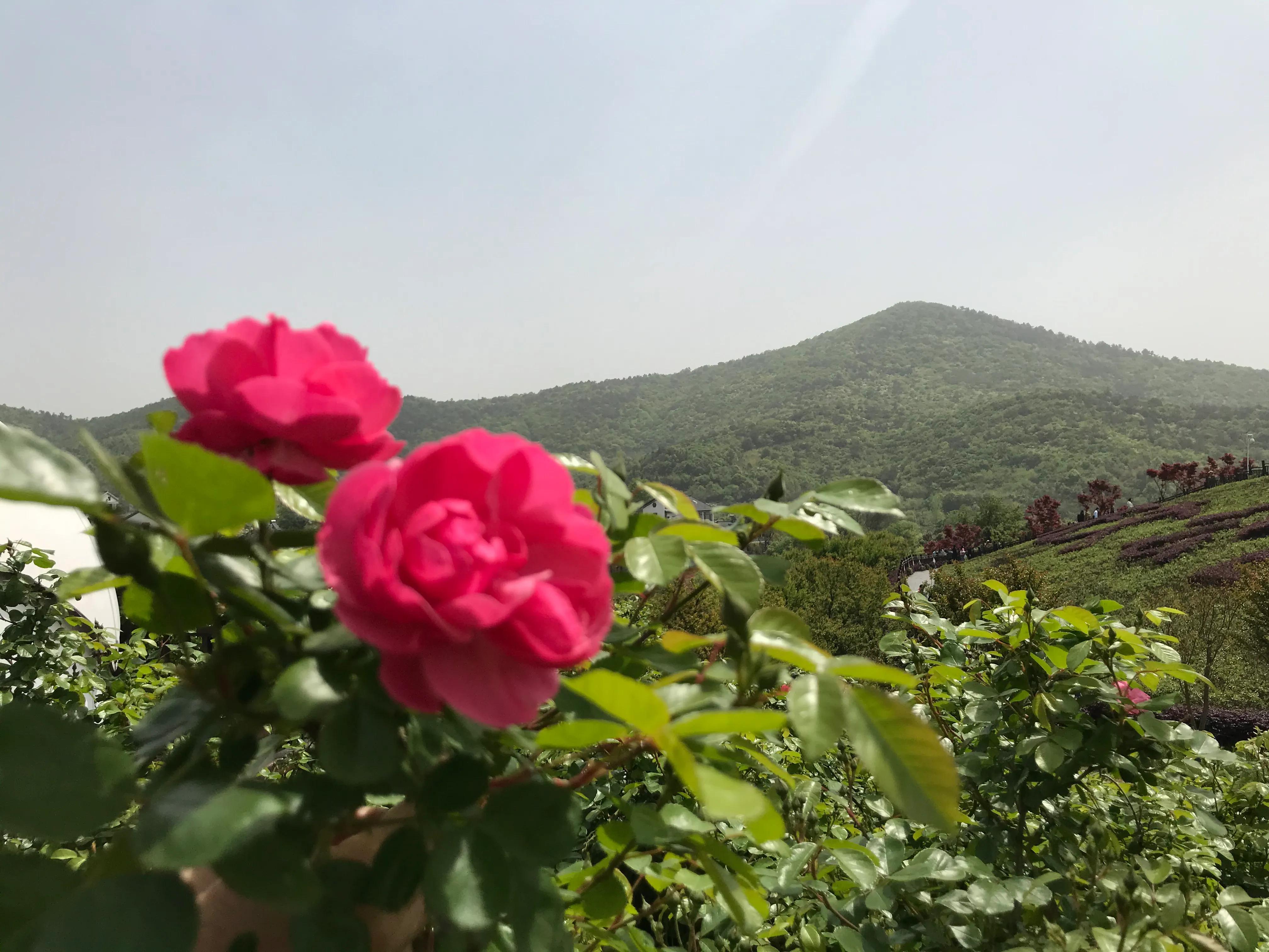 踏青山海秘境,石塘竹海游玩的最佳季节