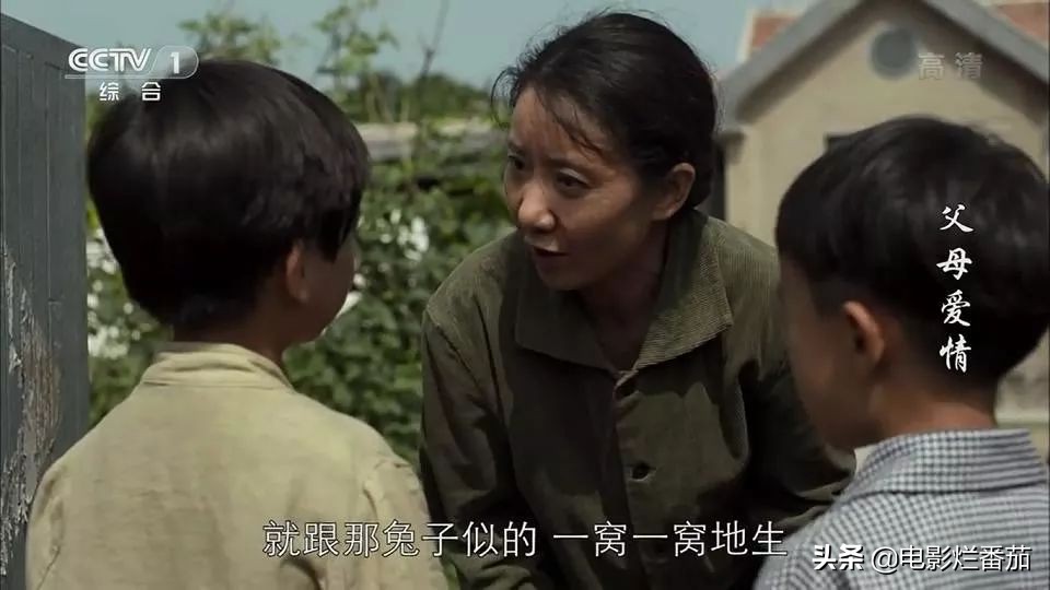 父母爱情为何拿奖,父母爱情总共获得几回奖