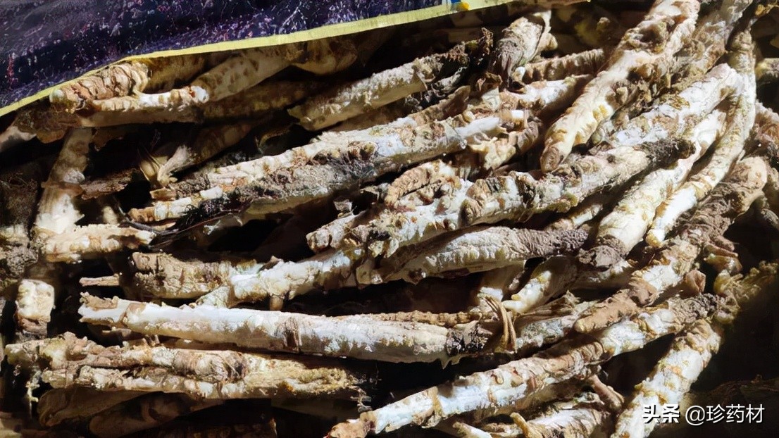 11月1日中药材市场快讯:金樱子、生地、红花、覆盆子、北沙参等