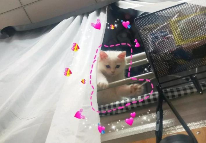 宿舍查出违禁品有什么处分,突击检查宿舍违禁品多会怎么样