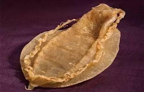 花胶最简单的泡发,花胶正确的泡发