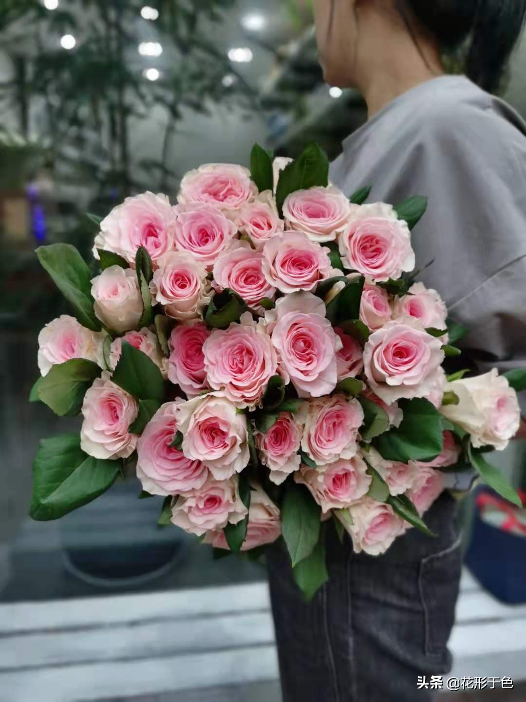 一分钟带你了解玫瑰,玫瑰花品鉴介绍