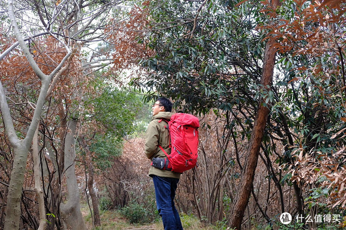 瑞典拓乐thuleranger280l,瑞典拓乐thulevector470l