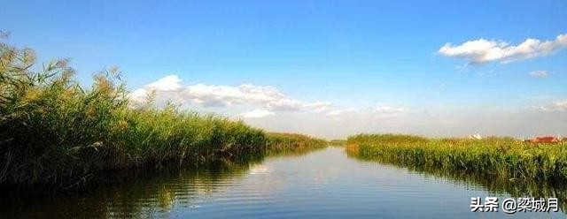 天津宁河,300年畔海听风,等待着明天的姹紫嫣红