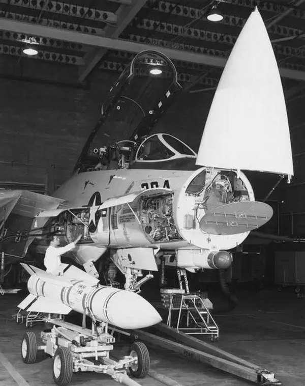 猫迷必备技能,F-14各型号的辨别