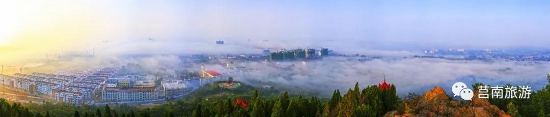 悦享莒南|惊艳了莒南蓝，温暖了遇见