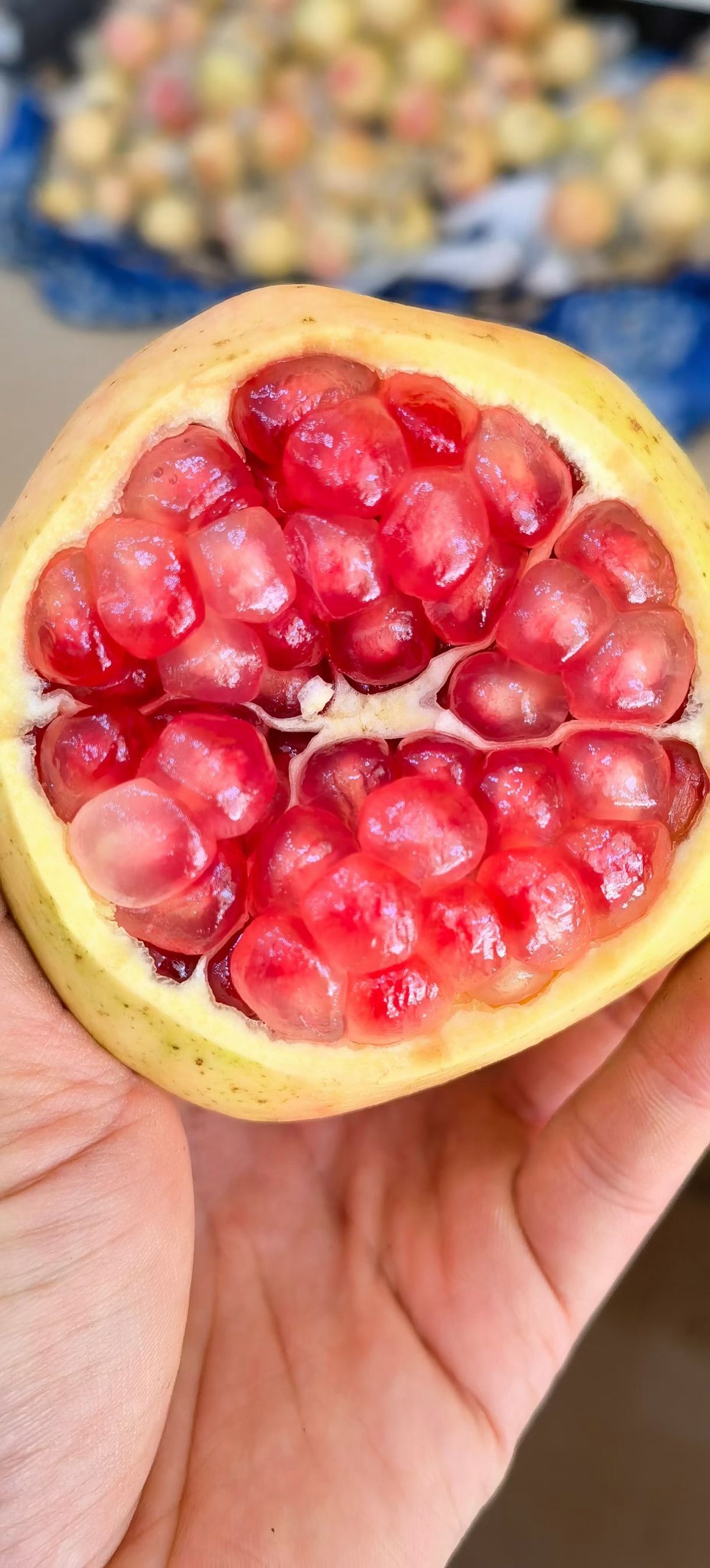 蒙自软籽甜石榴,清甜多汁蒙自石榴