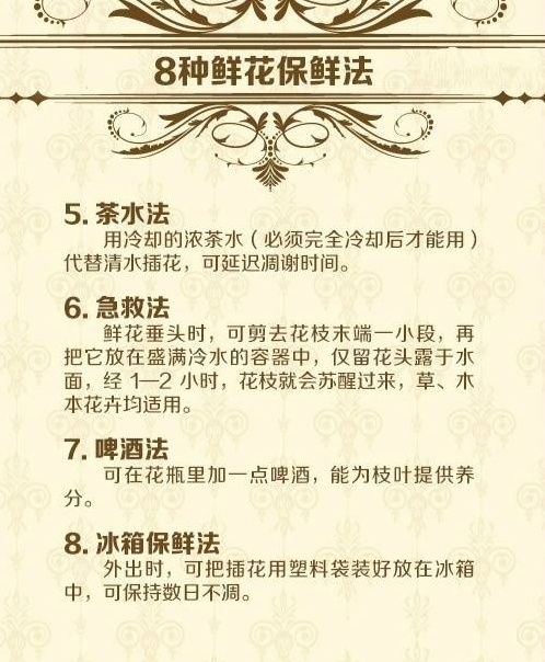 给你花原版,给你花原版视频