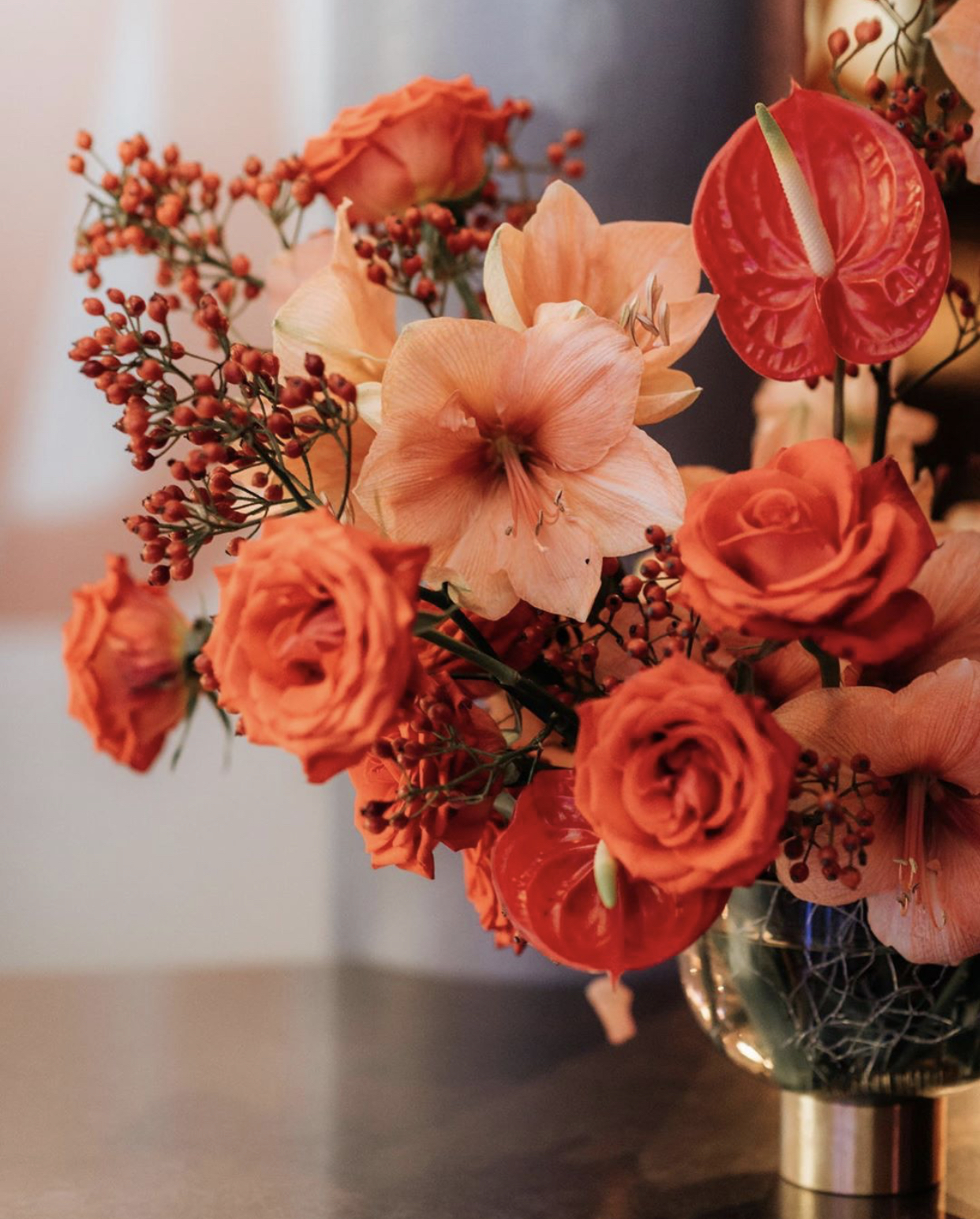 买花时，你“脸盲”了吗？一篇文章分清红掌、火鹤、花烛和安祖