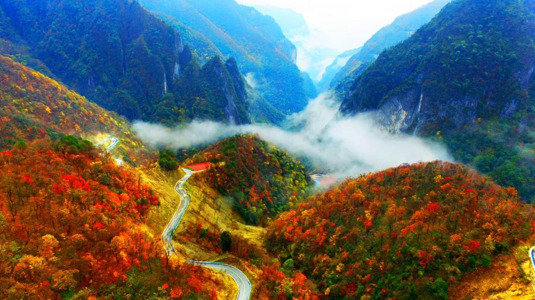 又到漫山红叶时文章,又到满山红叶时原唱