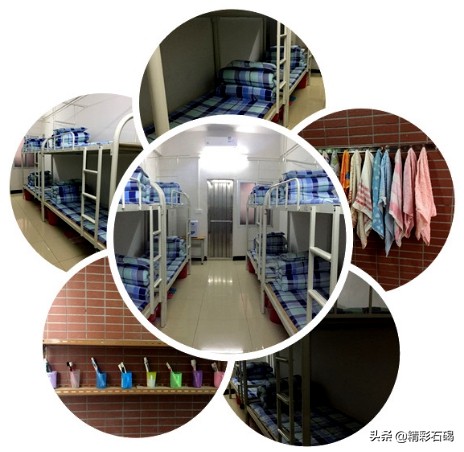 东莞市石碣四海之星学校好不好,石碣四海学校口碑怎么样