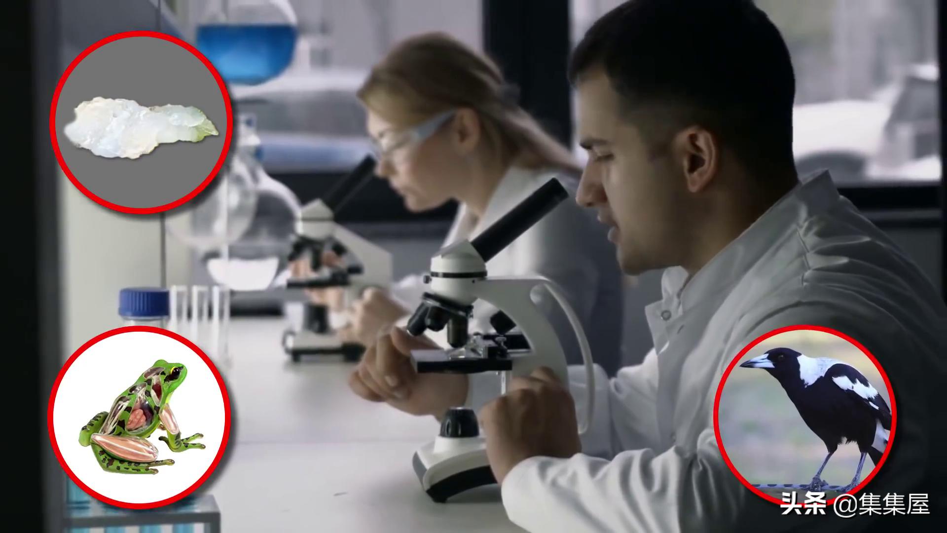 天空下起钞票雨这笔巨款从哪来的,15个从天上掉下来的诡异东西