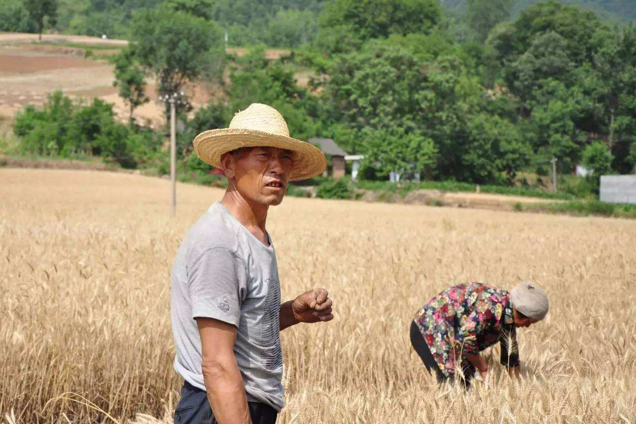 那些年你为钓鱼做过什么疯狂的事,你为钓鱼做过最疯狂的一件事