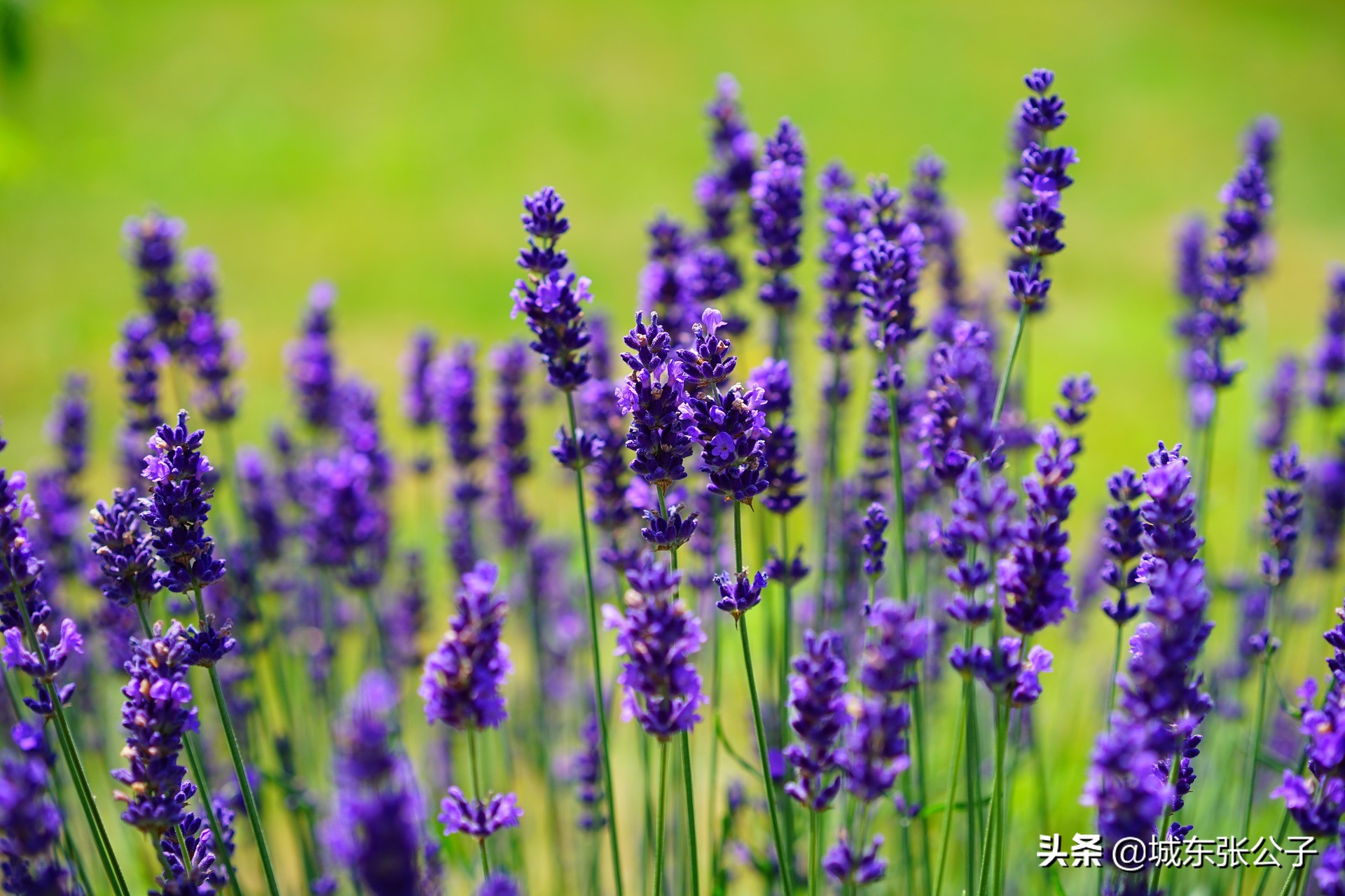 女人和蓝颜知己，可以长久相处吗？可以，但是需要做到这几点