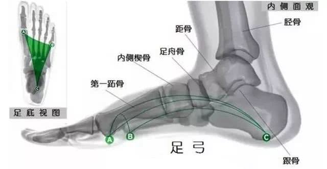 合脚的鞋子才是适合自己的,合脚的鞋才是最好的鞋