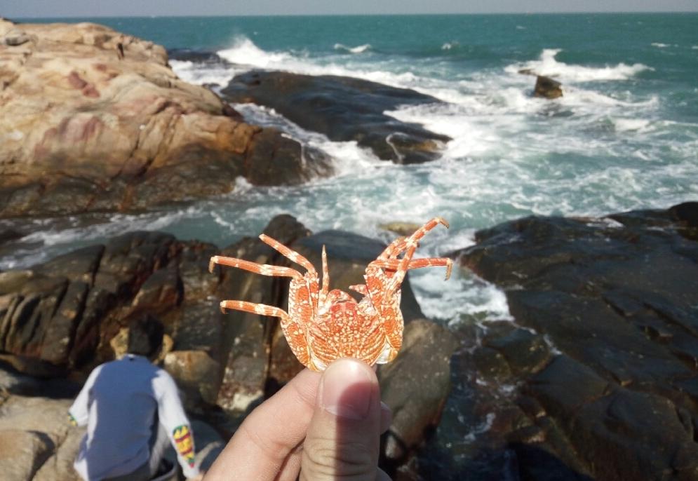 距离珠海最近的岛屿,珠海马尔代夫海岛