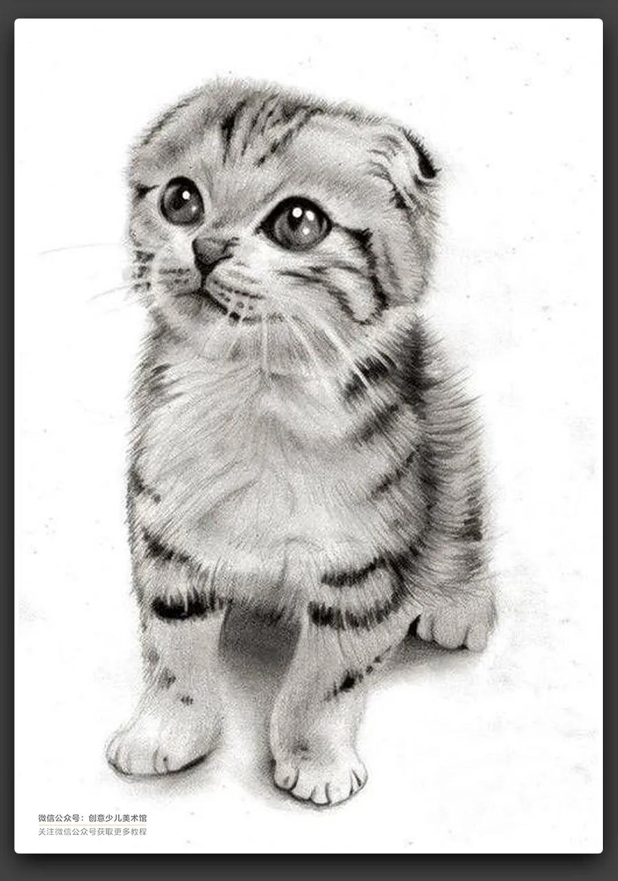 动物素描毛发细节教程,6-12岁儿童素描课程画动物