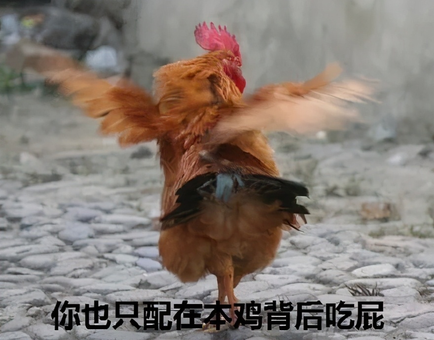 法国人与熊猫的关系,法国人和英国人有亲缘关系吗