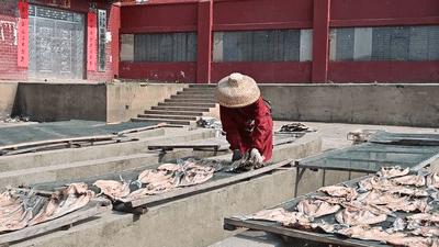 鄱湖之滨鱼米之乡,江西鄱阳湖