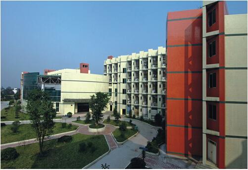 重庆主城区哪个区学区比较好,重庆扫盲