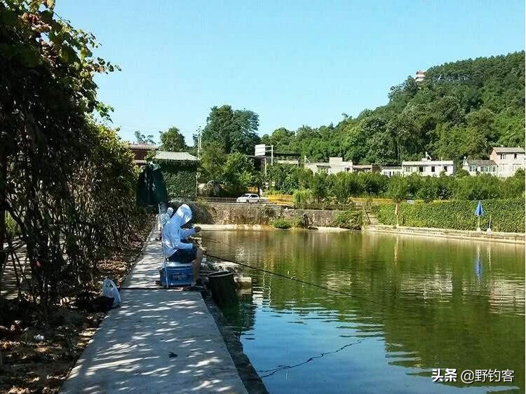 鱼塘有鱼钓不到怎么回事,有些鱼塘的鱼不好钓是怎么回事